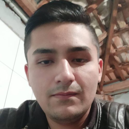 Perfil